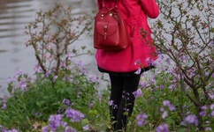 为什么讨厌老番茄